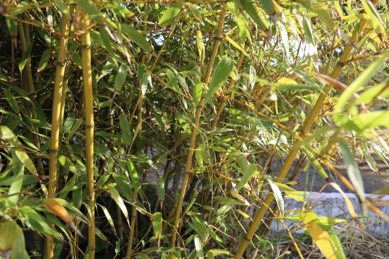 Sobral de Monte Agraço Quinta Do Carvalheiroヴィラ エクステリア 写真
