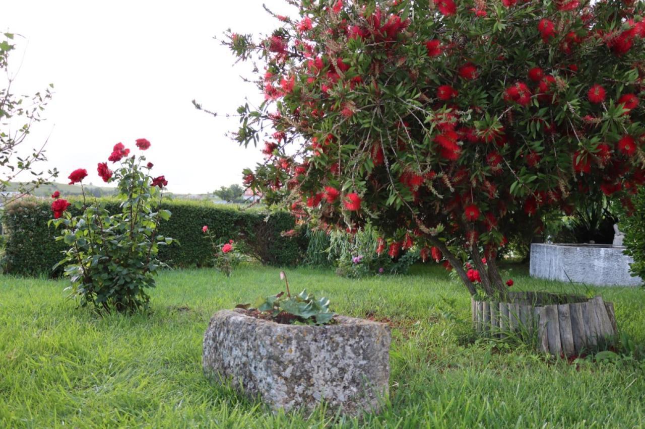 Sobral de Monte Agraço Quinta Do Carvalheiroヴィラ エクステリア 写真